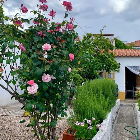Casa Da Tia Julia Villa Avis Exterior photo