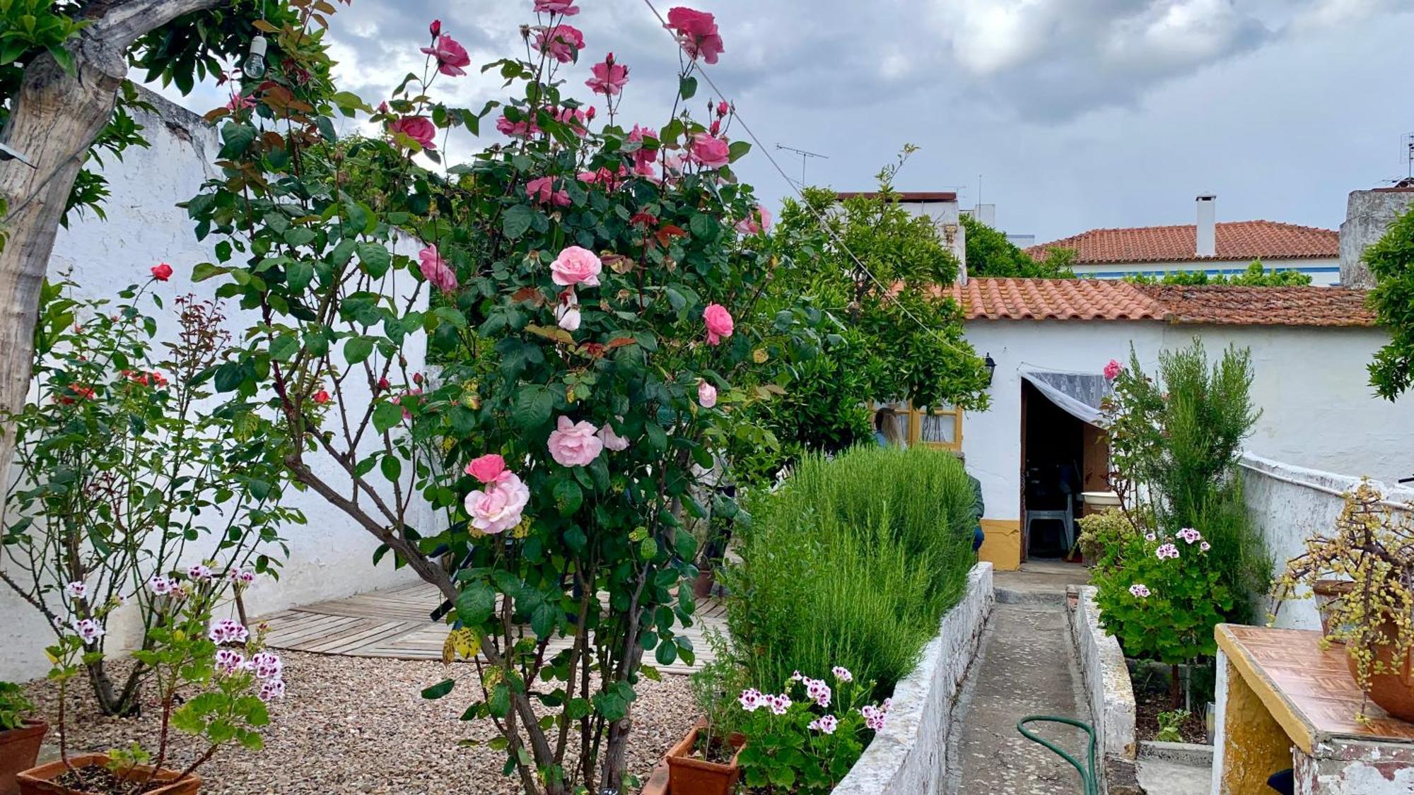 Casa Da Tia Julia